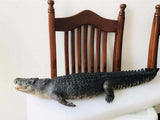 Lolong Estuarine Crocodile Model