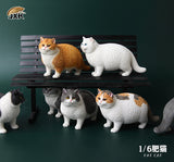 JXK 1/6th Fat Cat Figure