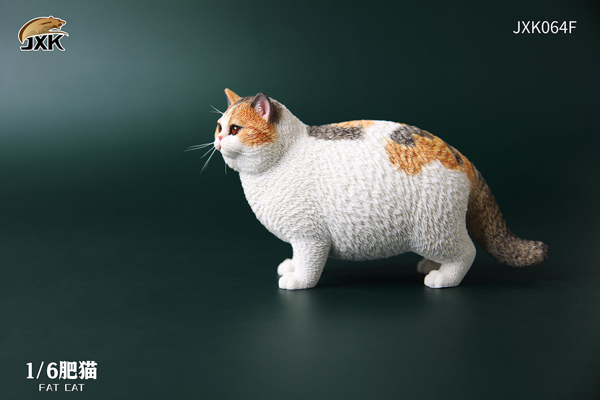 JXK 1/6th Fat Cat Figure