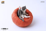 JXK 1/6 Lazy Cat 4.0 Model