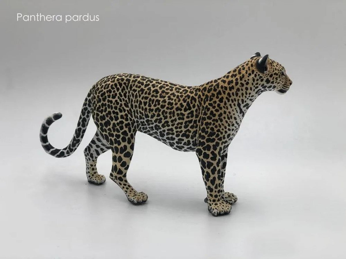 Leopard VS Antelope Scene Model