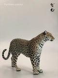 Leopard VS Antelope Scene Model