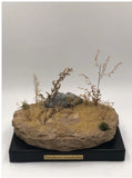 Leopard VS Antelope Scene Model