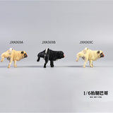 JXK 1/6 Leg Lift Pug Model