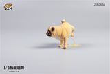 JXK 1/6 Leg Lift Pug Model