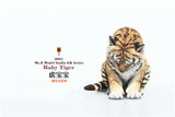 Mr.Z 1/6 Baby Tiger Model