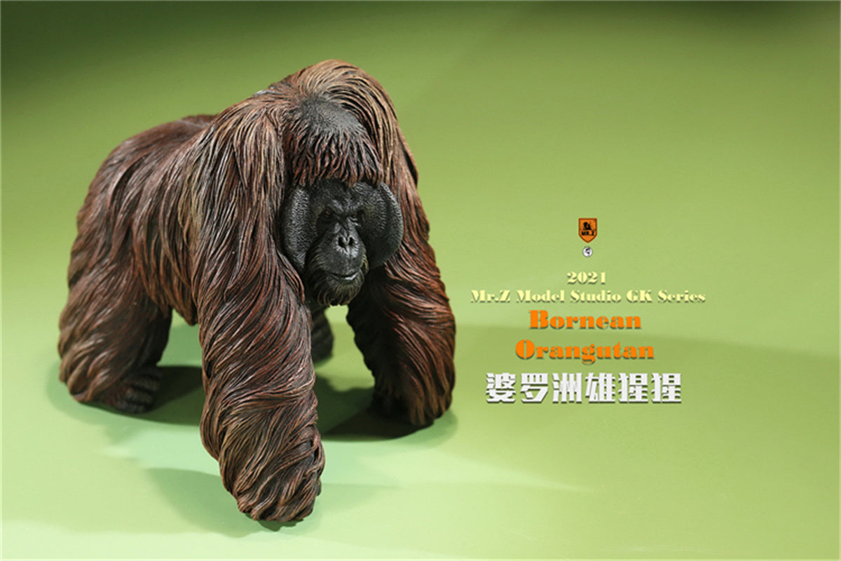 HOゲージ】ORANGUTAN MODEL XK0025 XL25B 206517 京局京段