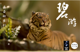 1/18 Sumatran Tiger Scene Statue