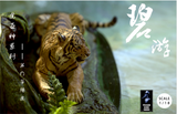 1/18 Sumatran Tiger Scene Statue