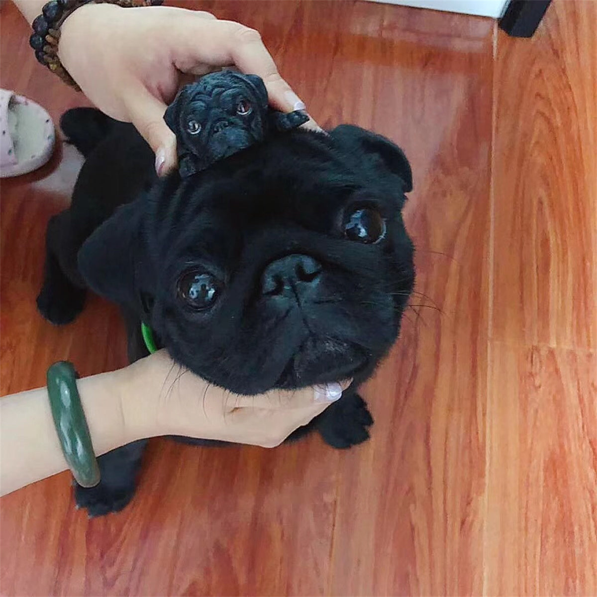 M7 Prone Position Pug Model