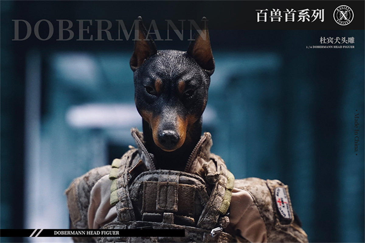 Mostoys 1/6 Dobermann Head Figure