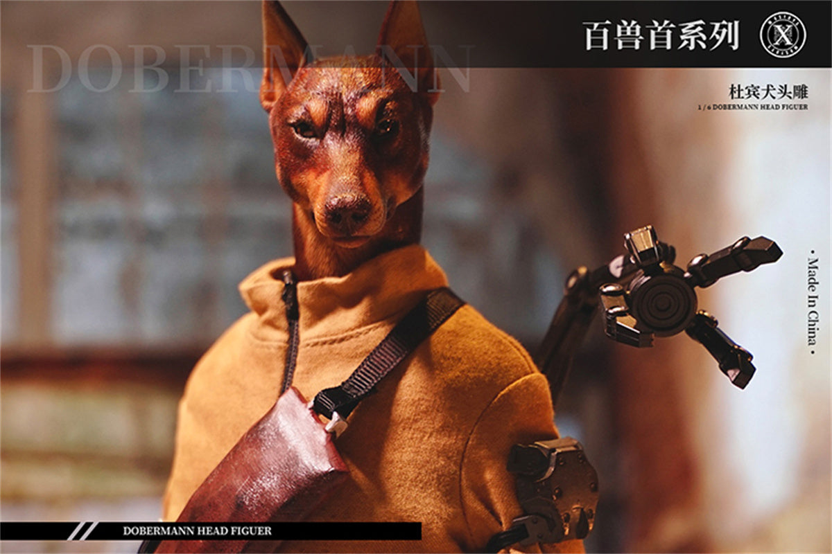 Mostoys 1/6 Dobermann Head Figure