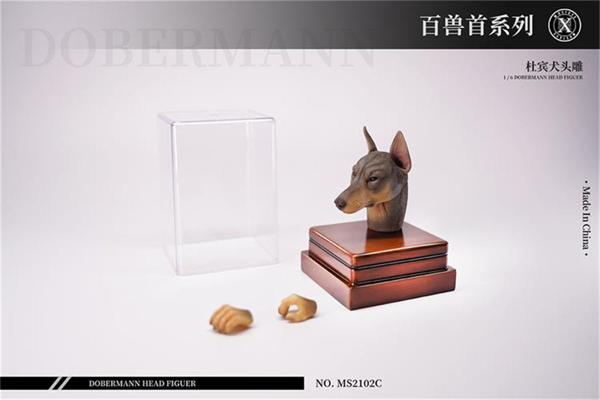 Mostoys 1/6 Dobermann Head Figure