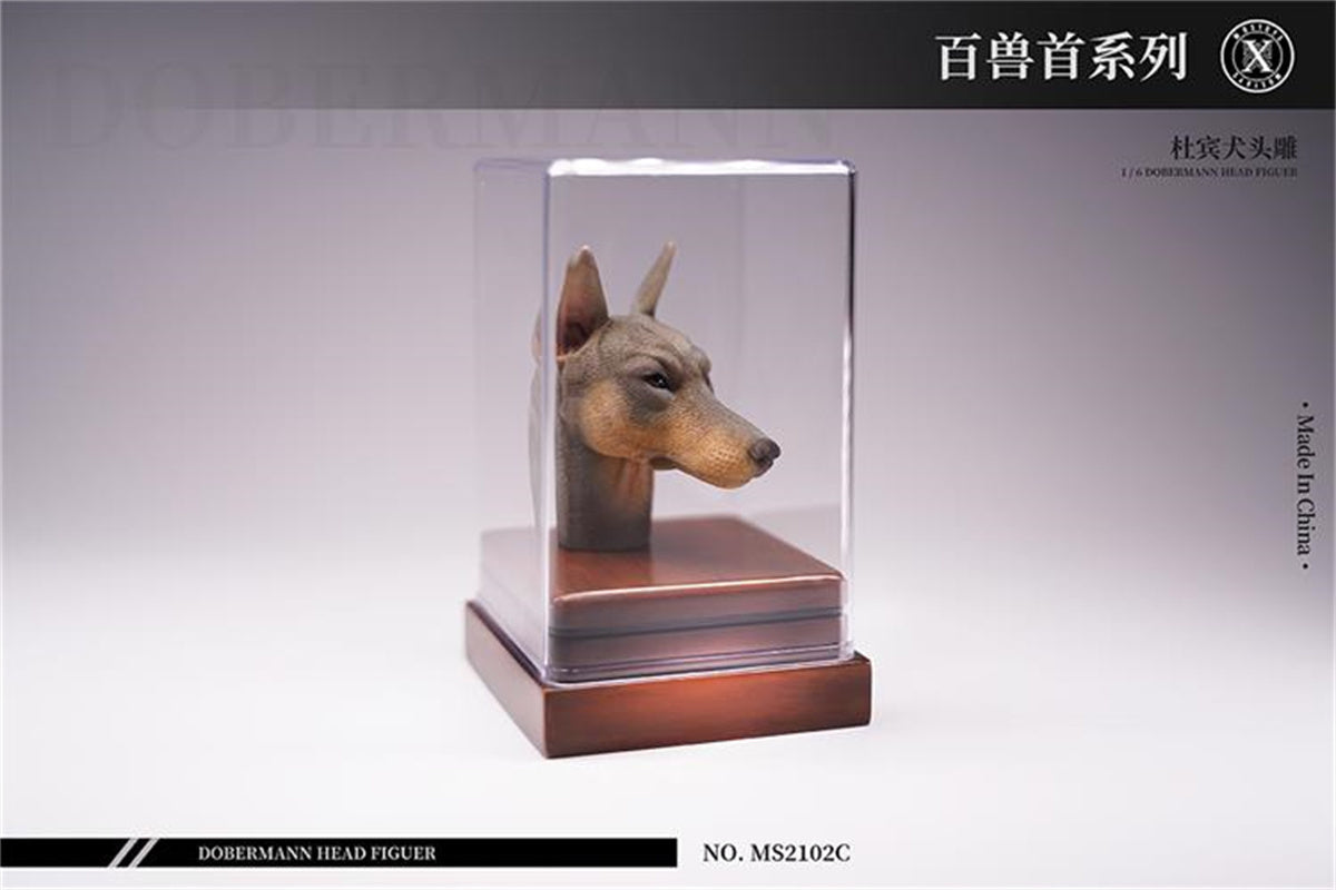 Mostoys 1/6 Dobermann Head Figure