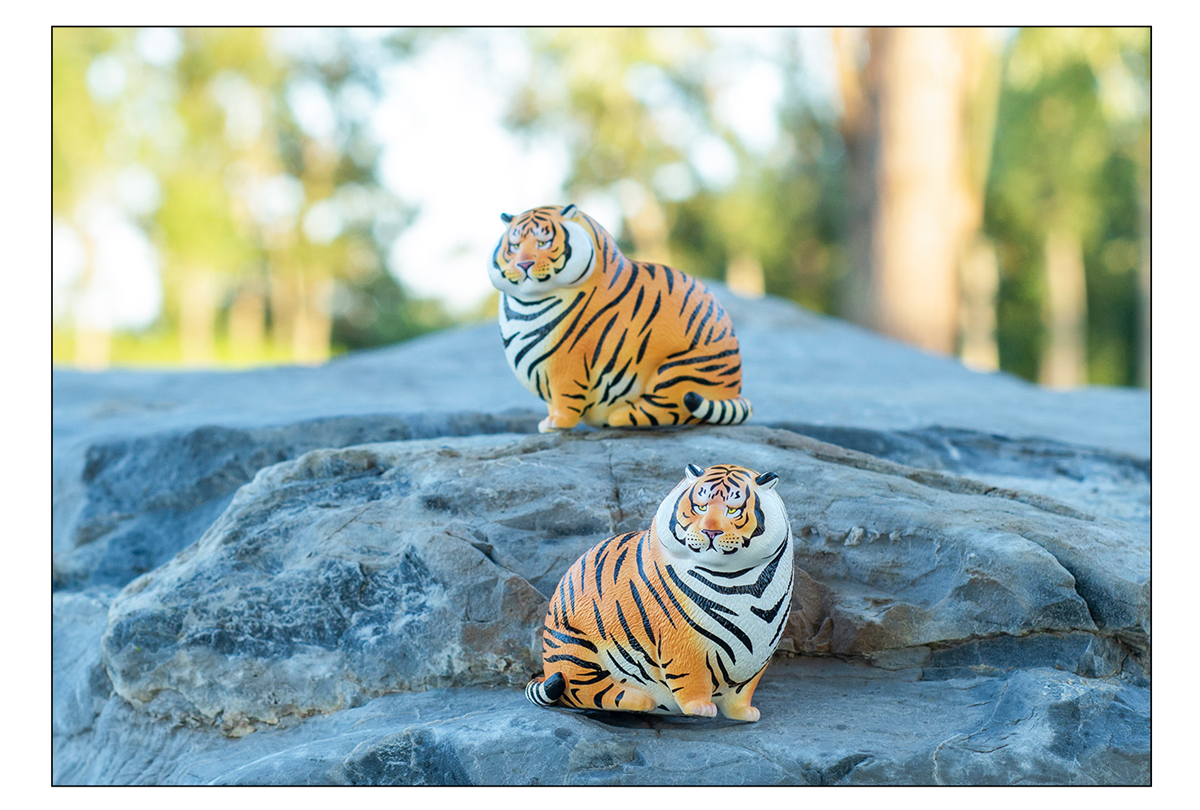 Bu2ma Mirror Panghu Model