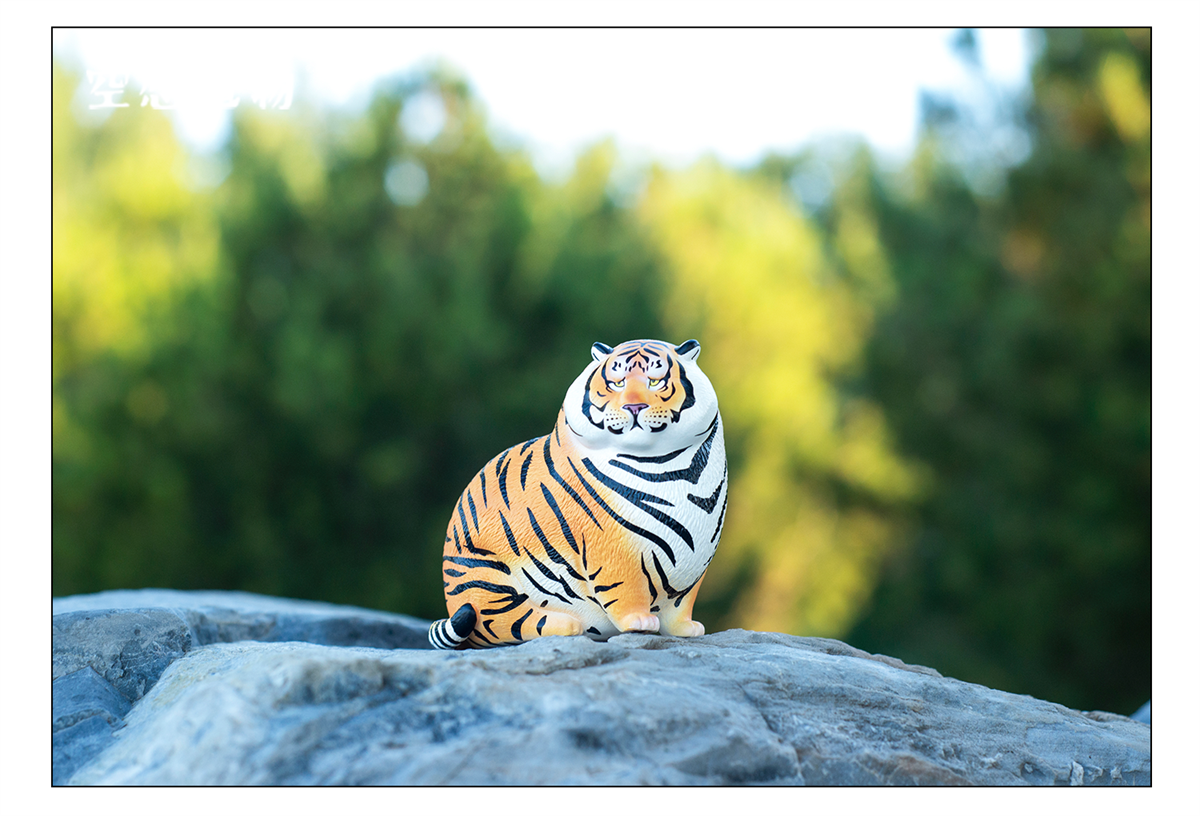 Bu2ma Mirror Panghu Model