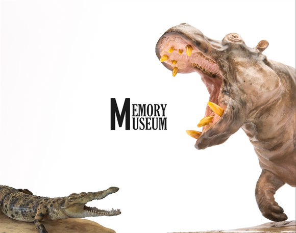 Memory Museum x Planet Earth 1/15 Young Crocodile Statue