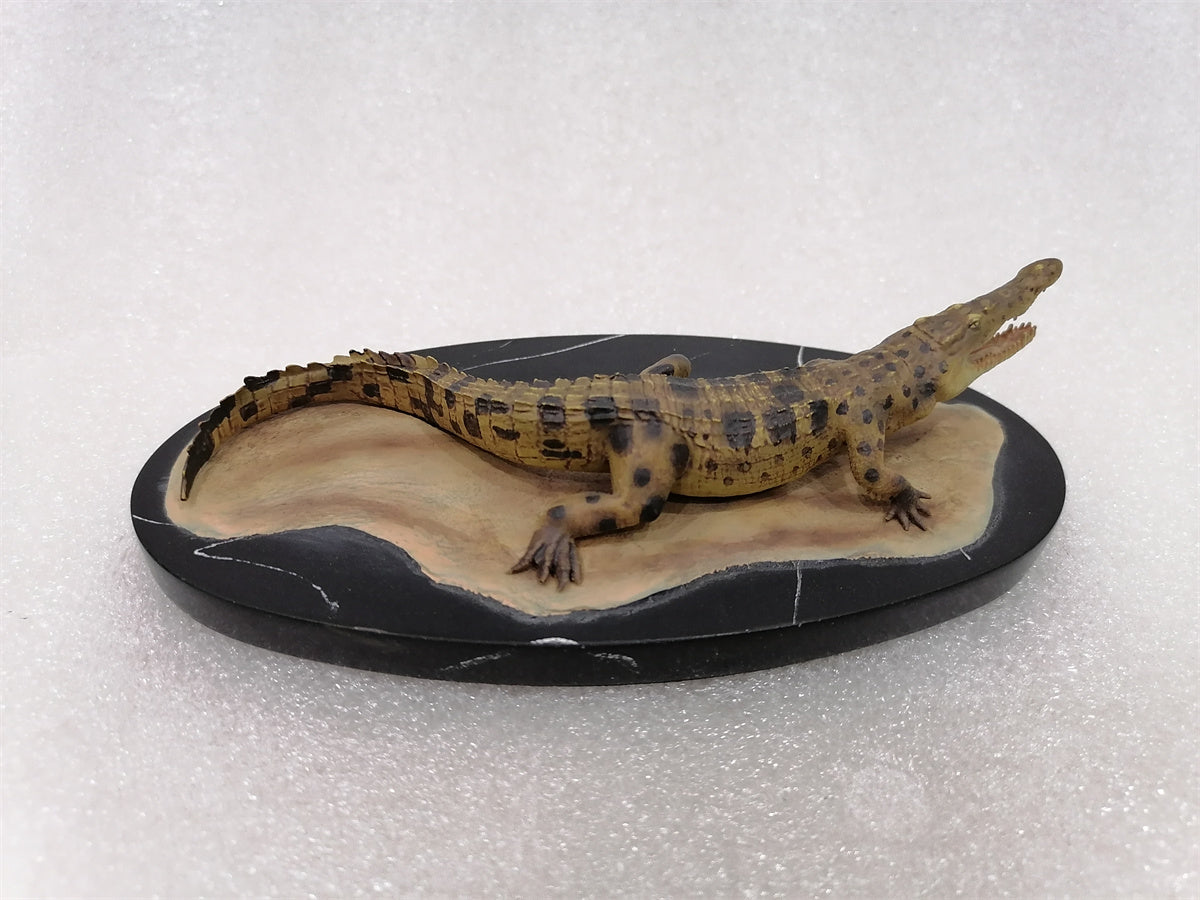 Memory Museum x Planet Earth 1/15 Young Crocodile Statue