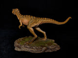 JM Baby Tyrannosaurus Rex Model