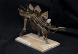 1/20 Stegosaurus Skeleton Model