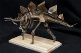 1/20 Stegosaurus Skeleton Model