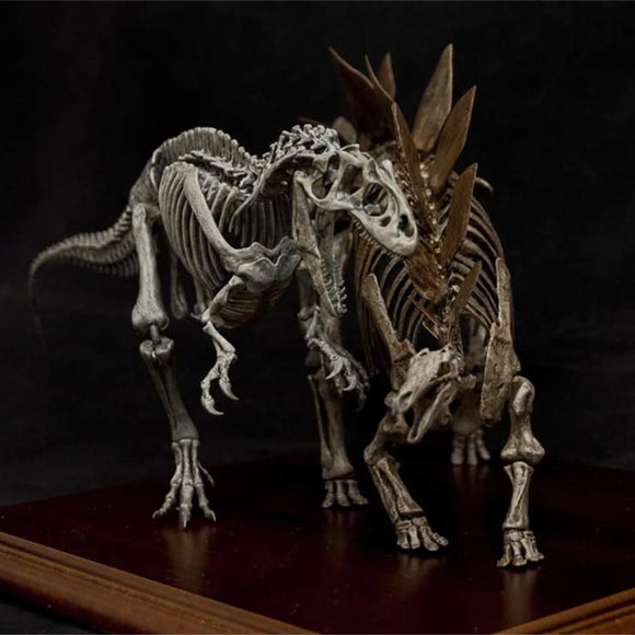 Stegosaurus VS Allosaurus Skeleton Model