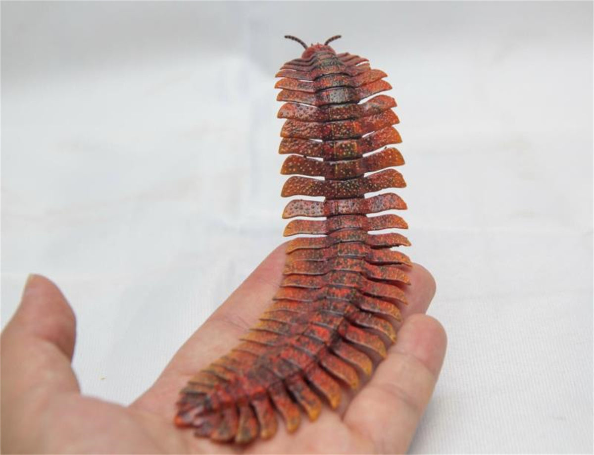 Arthropleura Model