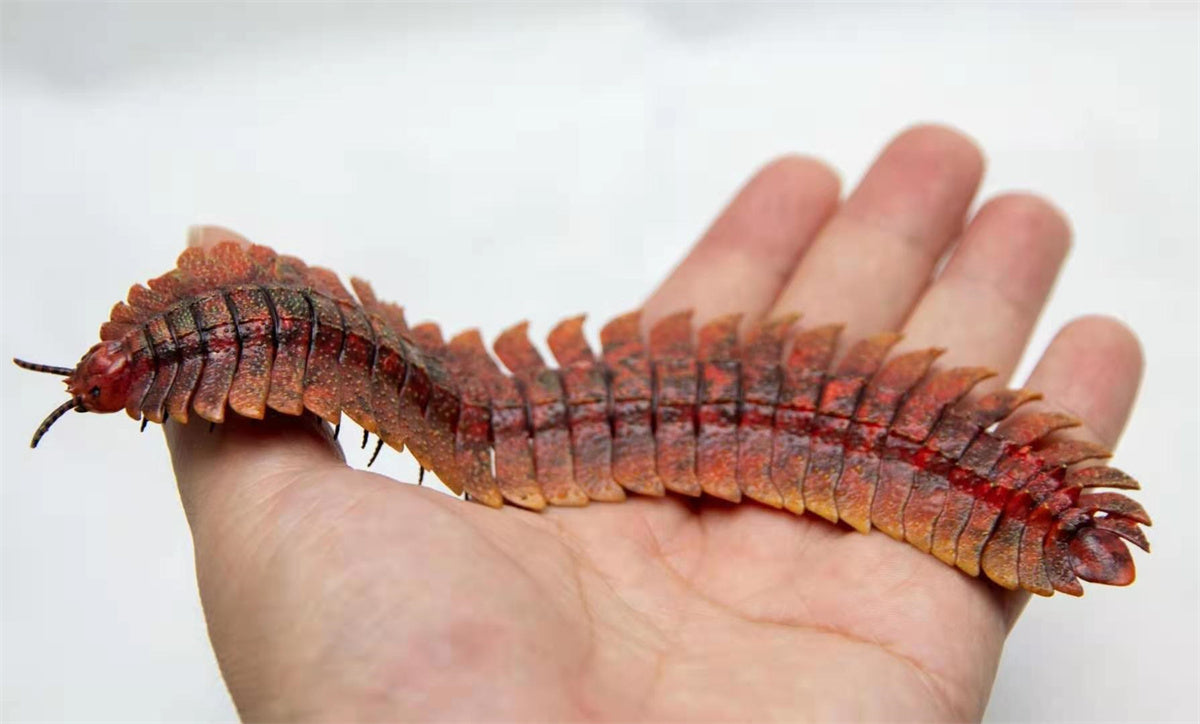 Arthropleura Model