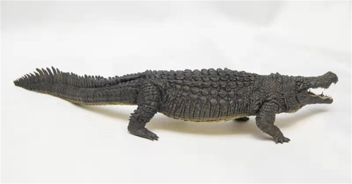 Devano hot sale wholesale saltwater crocodile