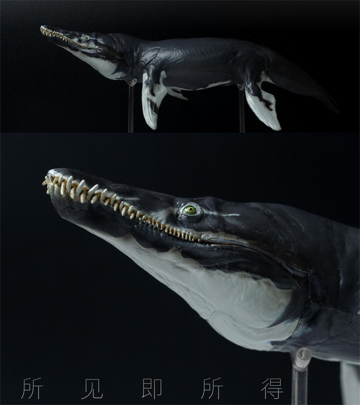 PNSO 1/35 Kronosaurus Jeff Model