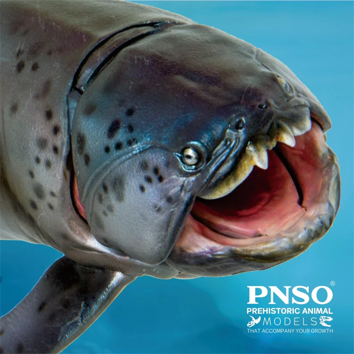 PNSO Dunkleosteus Zaha Model