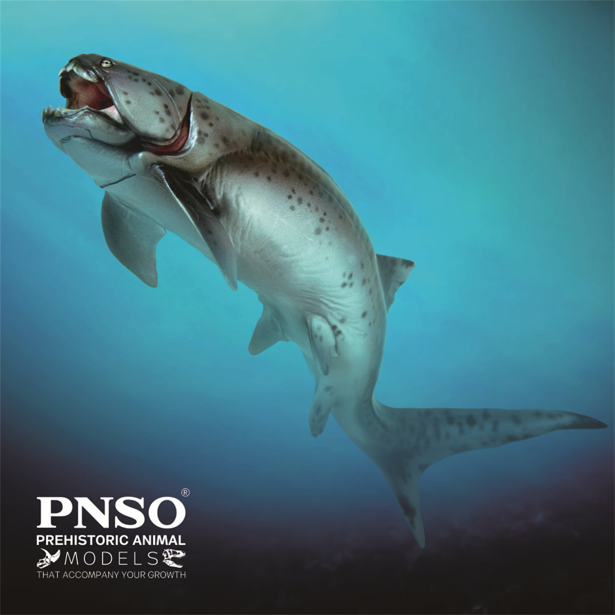 PNSO Dunkleosteus Zaha Model