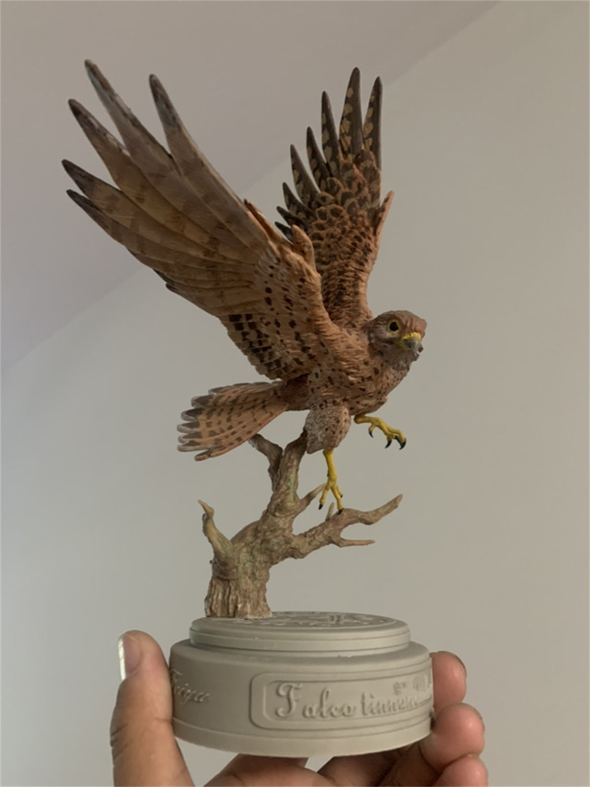 1/3 Common Kestrel Unpainted Model