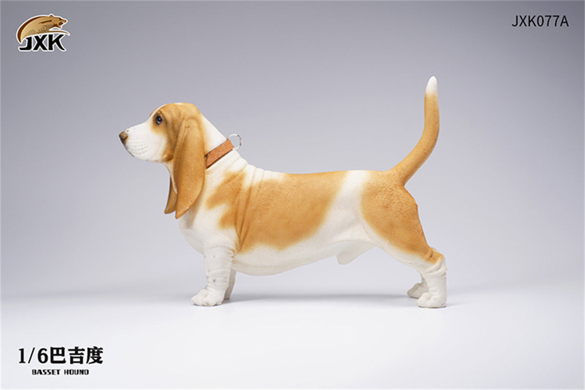 JXK 1/6 Basset Hound Model