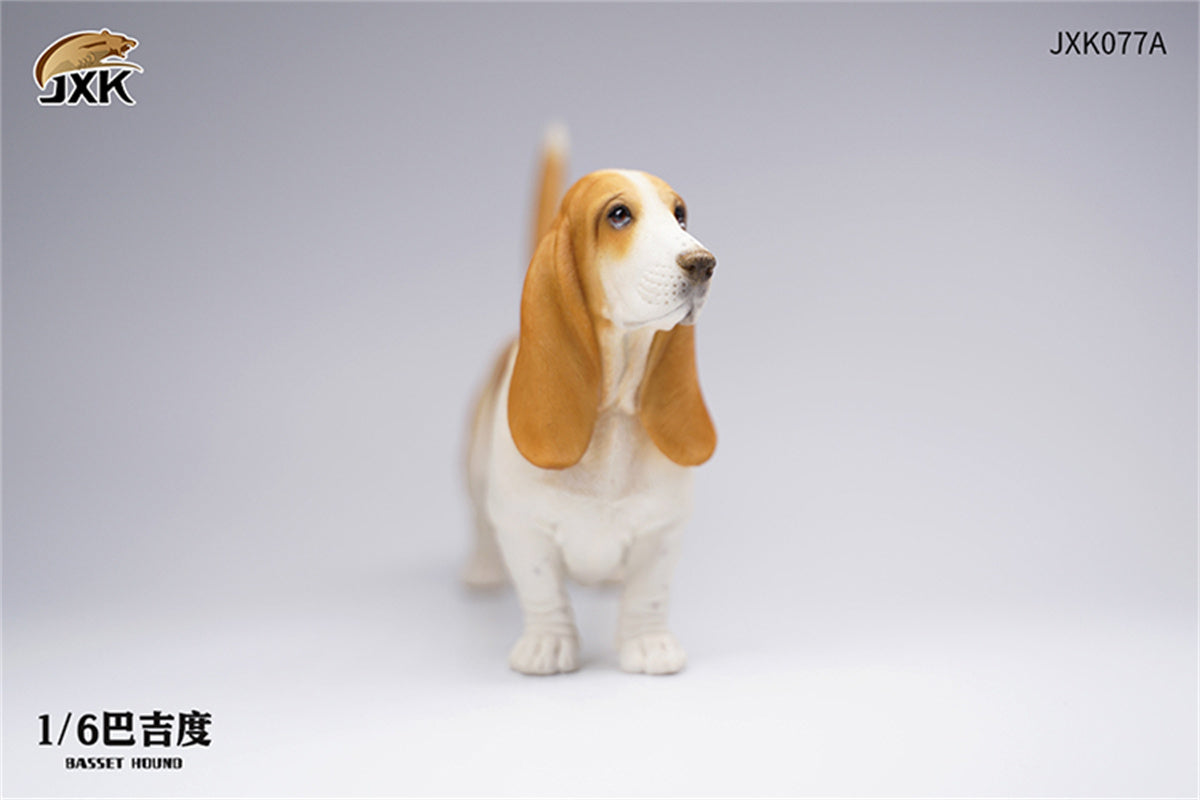JXK 1/6 Basset Hound Model