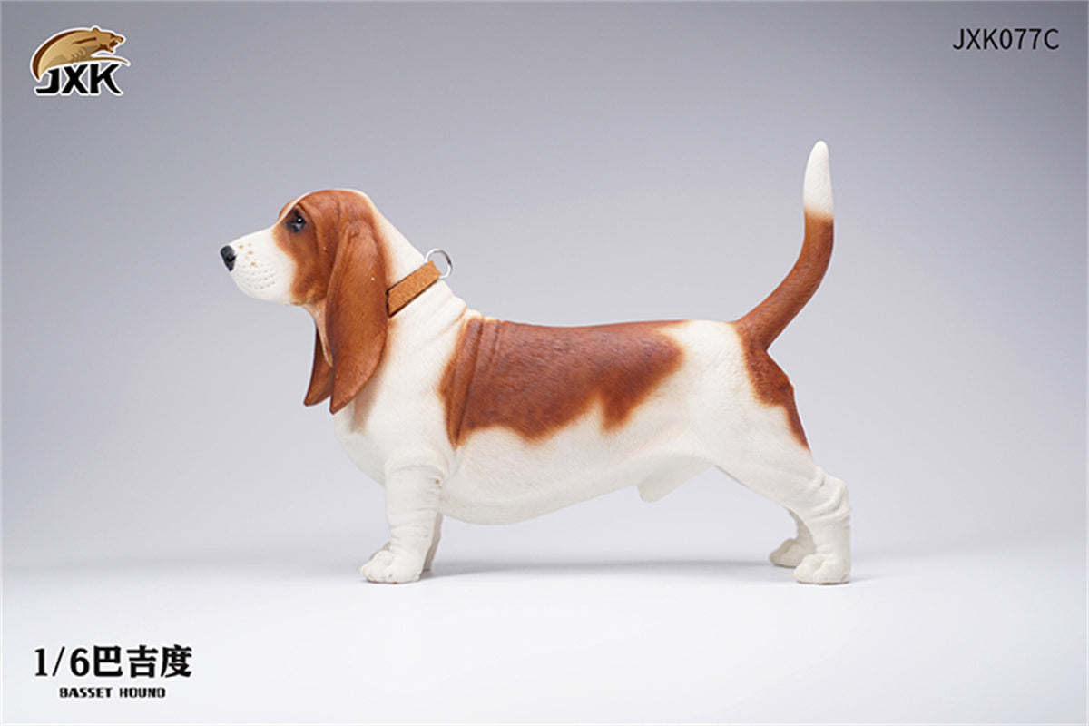 JXK 1/6 Basset Hound Model