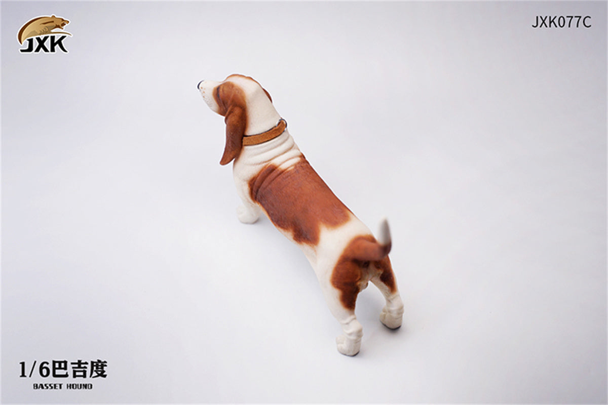 JXK 1/6 Basset Hound Model