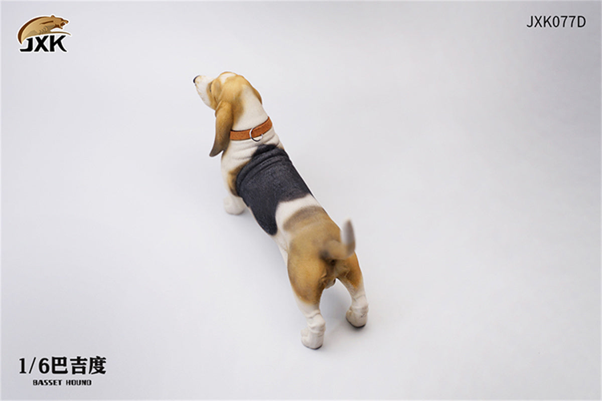 JXK 1/6 Basset Hound Model