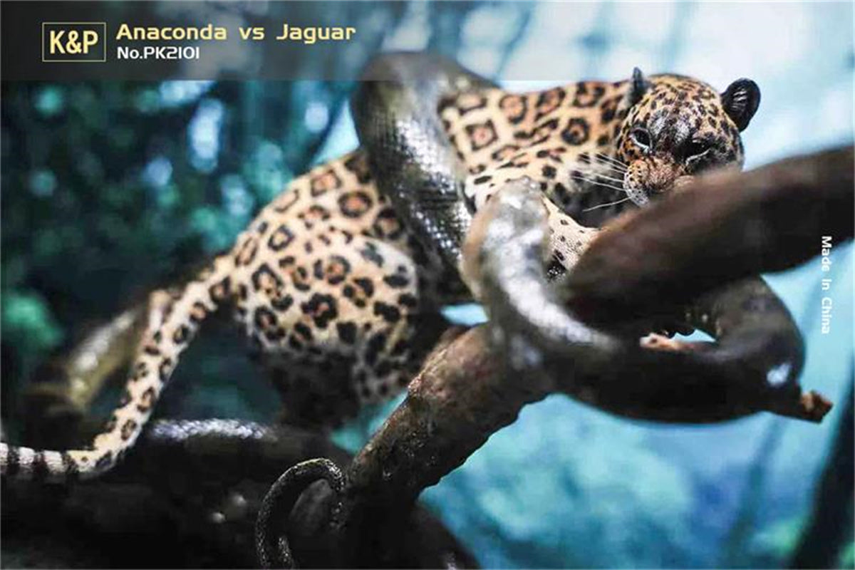 K&P 1/6 Anaconda VS Panthera onca Scene Statue