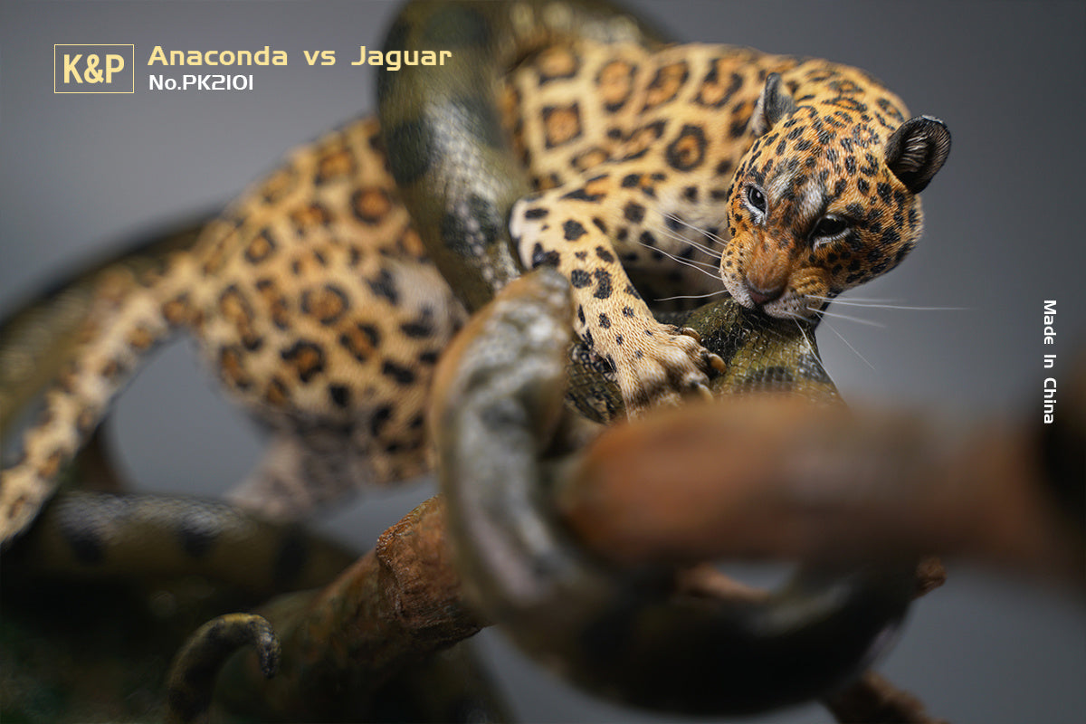 K&P 1/6 Anaconda VS Panthera onca Scene Statue