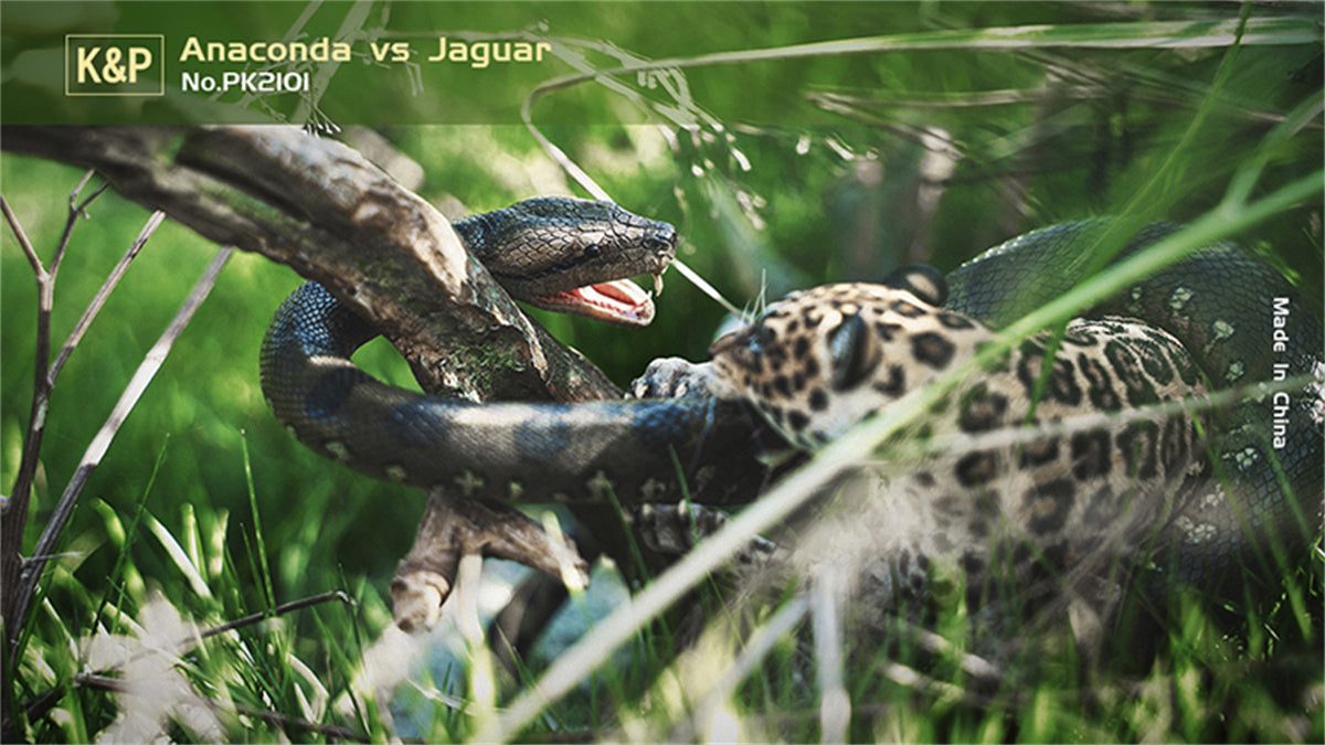 K&P 1/6 Anaconda VS Panthera onca Scene Statue