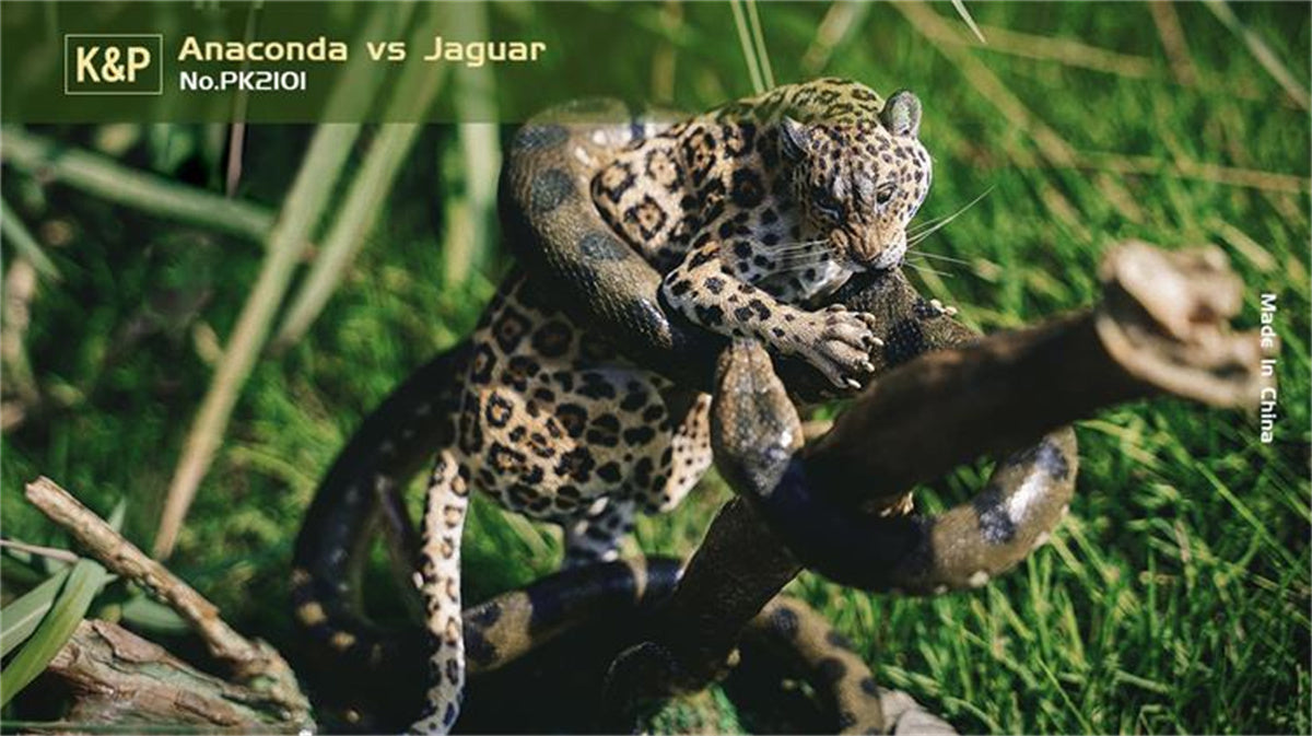 K&P 1/6 Anaconda VS Panthera onca Scene Statue