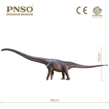 PNSO 1:45 Mamenchisaurus ER-MA Model