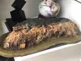 Lolong Estuarine Crocodile Model