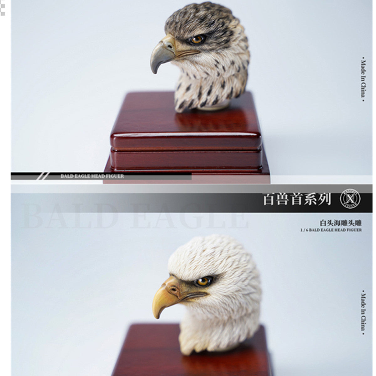 Mostoys 1/6 Bald Eagle Head Model
