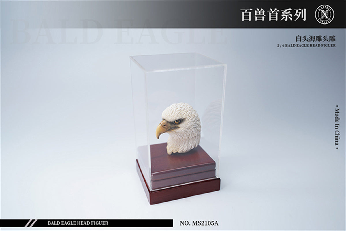 Mostoys 1/6 Bald Eagle Head Model