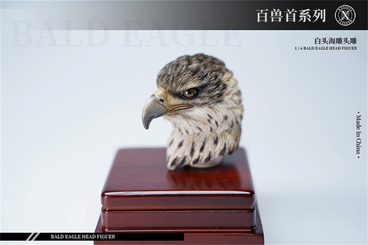 Mostoys 1/6 Bald Eagle Head Model