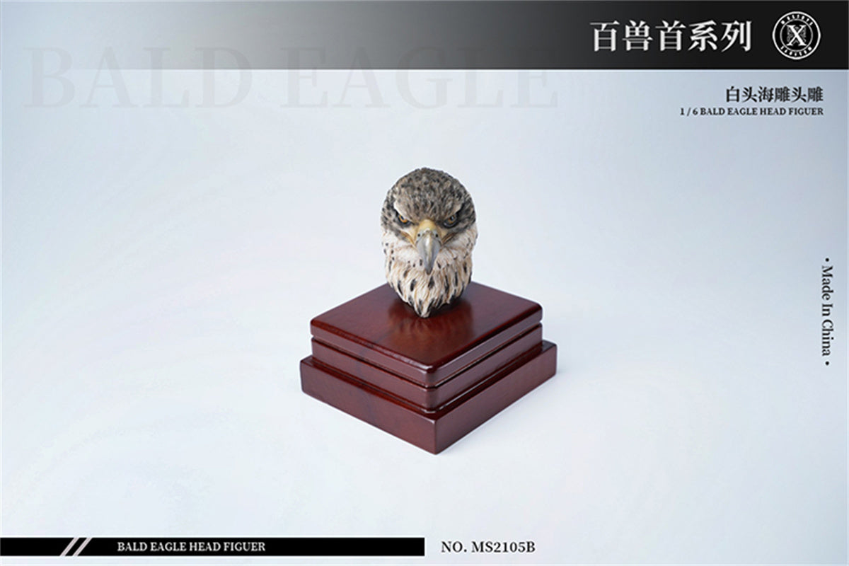 Mostoys 1/6 Bald Eagle Head Model