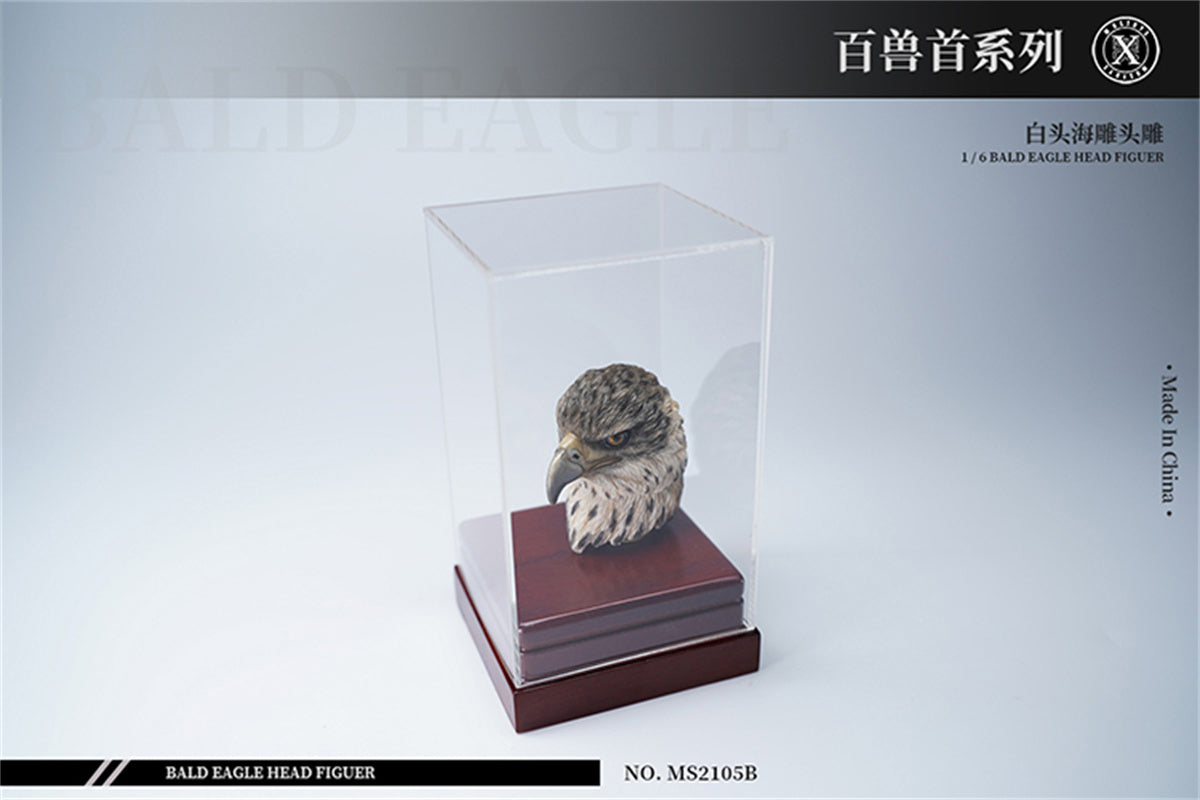 Mostoys 1/6 Bald Eagle Head Model