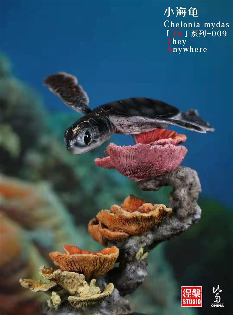 Chelonia Mydas Scene Model